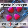 Ajanta Kamagra 13